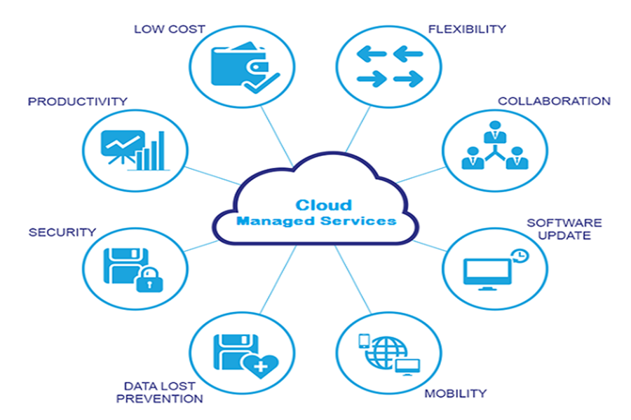 Service Provider of Reduce Management Cost in New Delhi, Delhi, India.